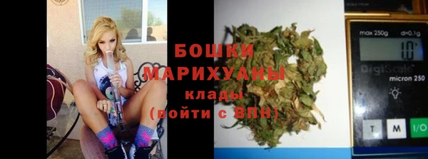 твердый Арсеньев